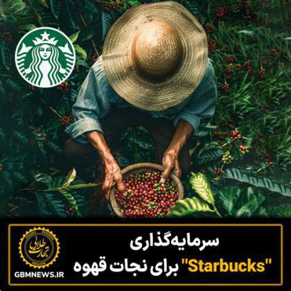 سرمایهگذاری