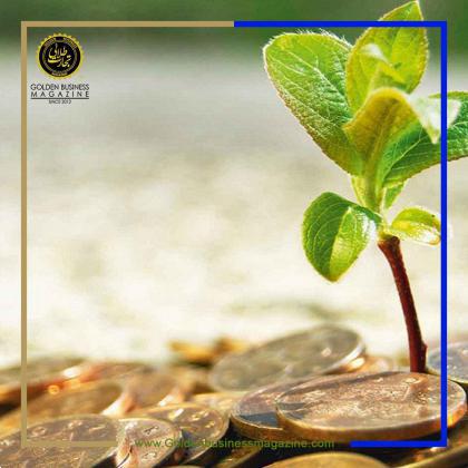 بنیانگذار اسنپفود از علل شکست استارتآپها در جذب سرمایه می گوید
