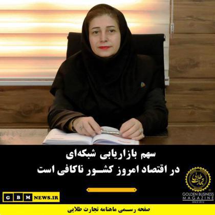 سهم بازاریابی شبکهای در اقتصاد امروز کشور ناکافی است